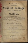 NEVINNÝ SVATÝ MLÁDENEC ALOYSIUS GONZAGA, PATRON ČISTÝCH SRDCÍ