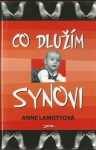 CO DLUŽÍM SYNOVI