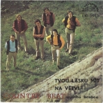 COUNTRY BEAT JIŘÍHO BRABCE - TVOU LÁSKU MÍT / NA VĚTVI