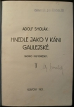 HNEDLE JAKO V KÁNI GALILEJSKÉ