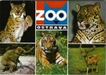 ZOO OSTRAVA