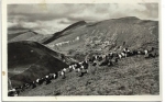 NÍZKE TATRY - POHĽAD NA CHOPOK, ĎUMBIER, KRÁLIČKU