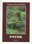 POTOK