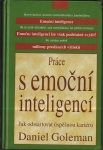 PRÁCE S EMOČNÍ INTELIGENCÍ