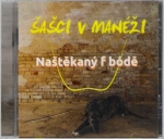 ŠAŠCI V MANÉŽI – NAŠTĚKANÝ F BÓDĚ