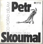 PETR SKOUMAL - CO POŘÁD DĚLÁM