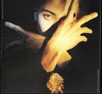 TERENCE TRENT D`ARBY`S NEITHER FISH NOR FLESH