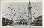 VENEZIA - VOLATA PICCIONI IN PIAZZA S. MARCO