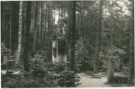 WALDFRIEDHOF d. STADT HAIDA